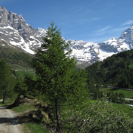 Hotel Meuble Meridiana Valtournenche Eksteriør bilde