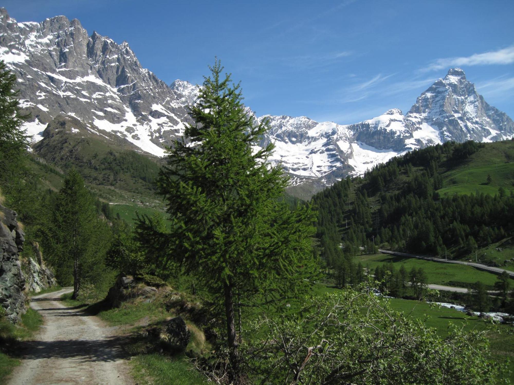 Hotel Meuble Meridiana Valtournenche Eksteriør bilde